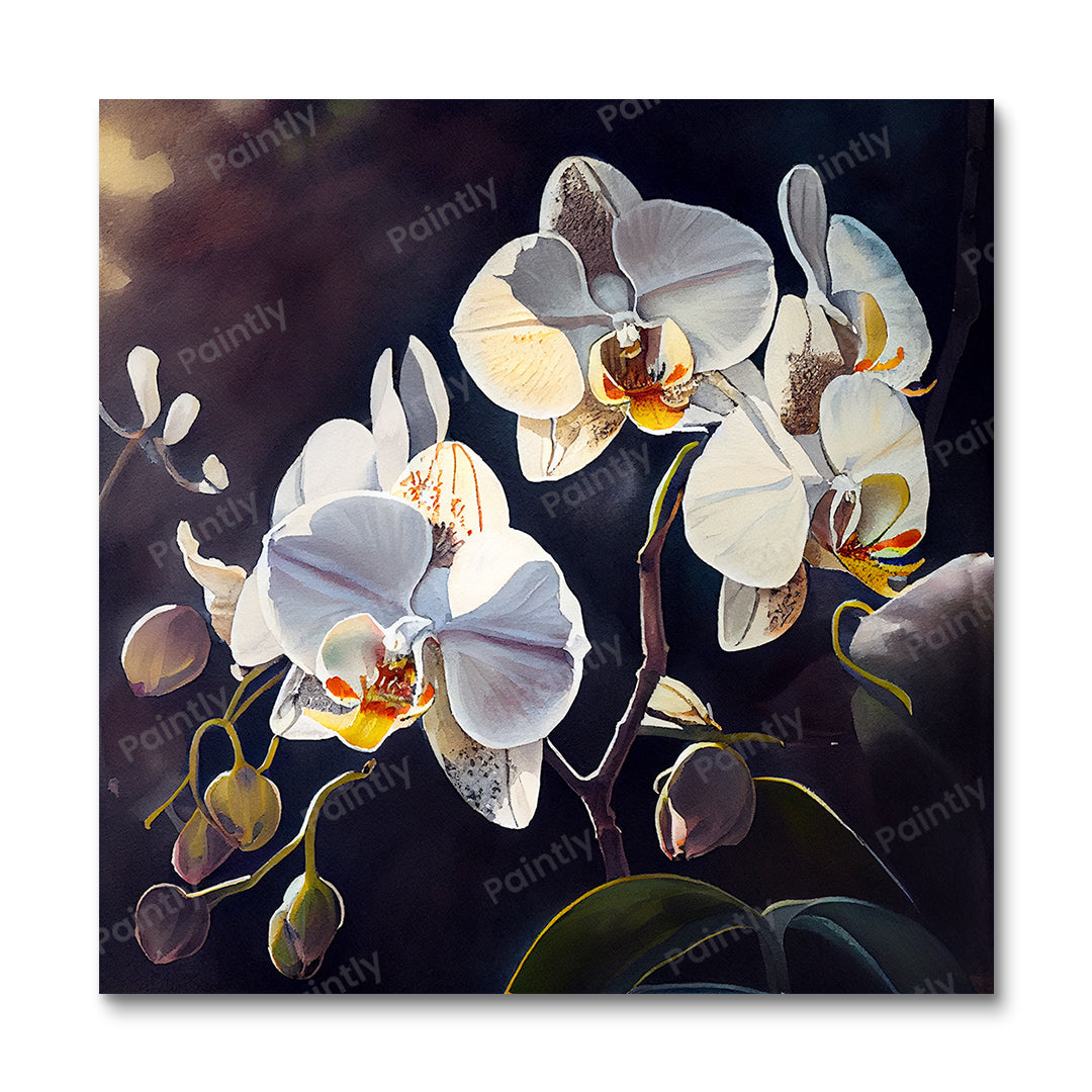 White Orchids (Diamond Painting)