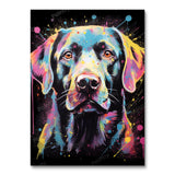 Colorful Dog (Paint by Numbers)