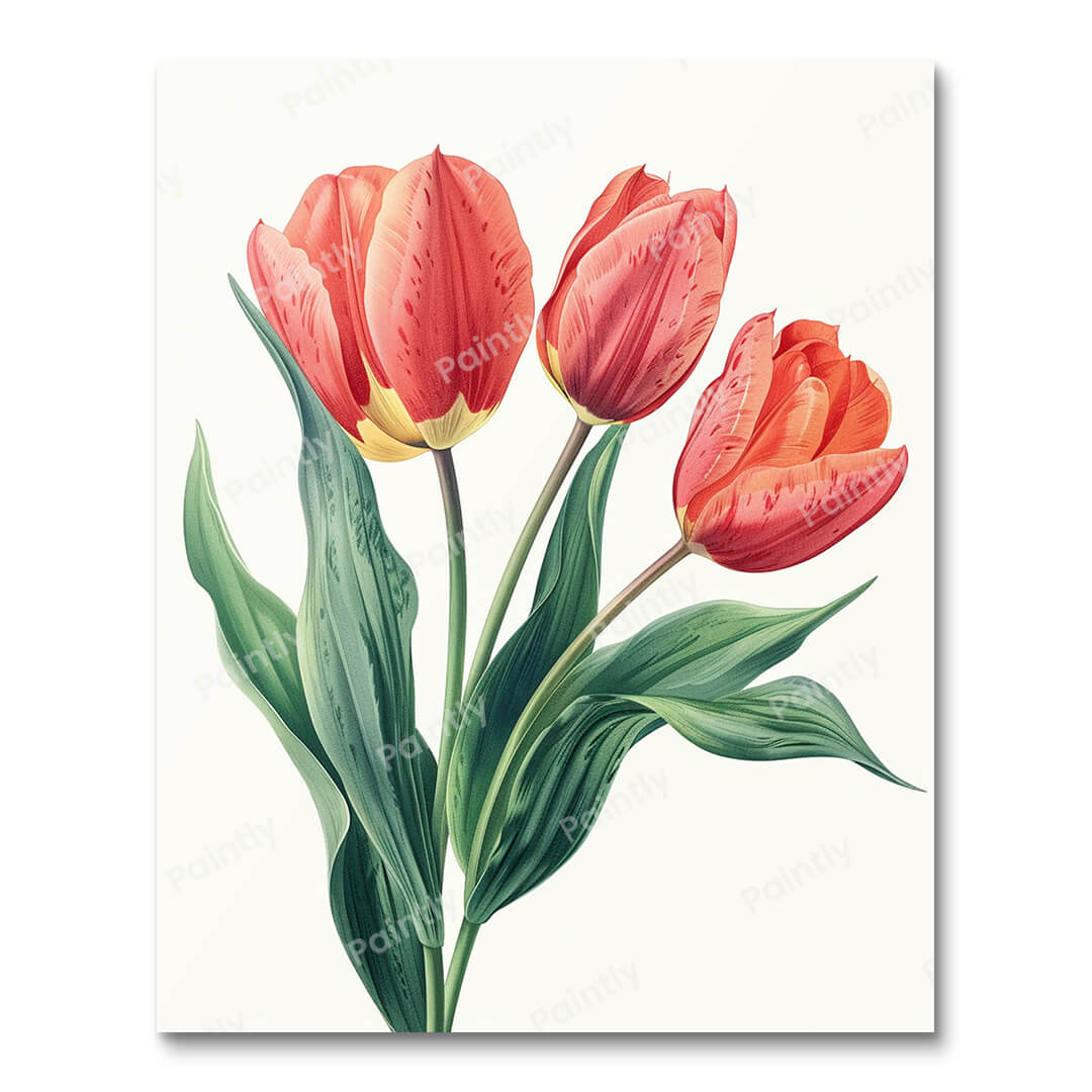 Delicate Tulip Illustration (Paint by Numbers)