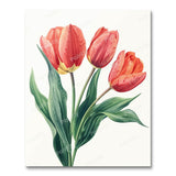 Delicate Tulip Illustration (Paint by Numbers)