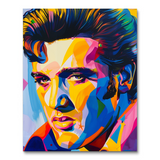 Elvis Presley III (Paint by Numbers)