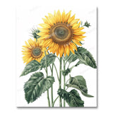 Sunflower Bouquet (Paint by Numbers)