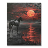 Sunset Stallion II (Paint by Numbers)