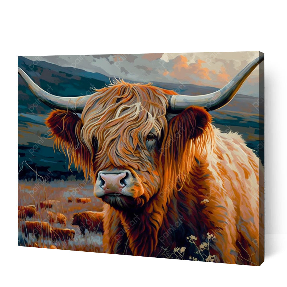Highland Cow III (Paint by Numbers)