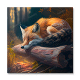 Sleeping Fox II (Paint by Numbers)
