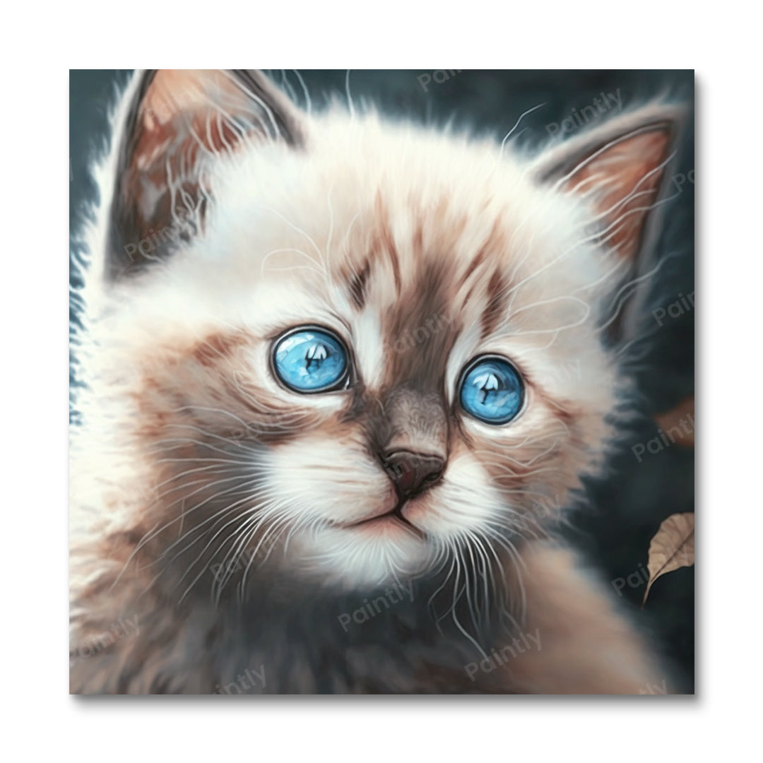 Ocean Eyes Kitten (Paint by Numbers)