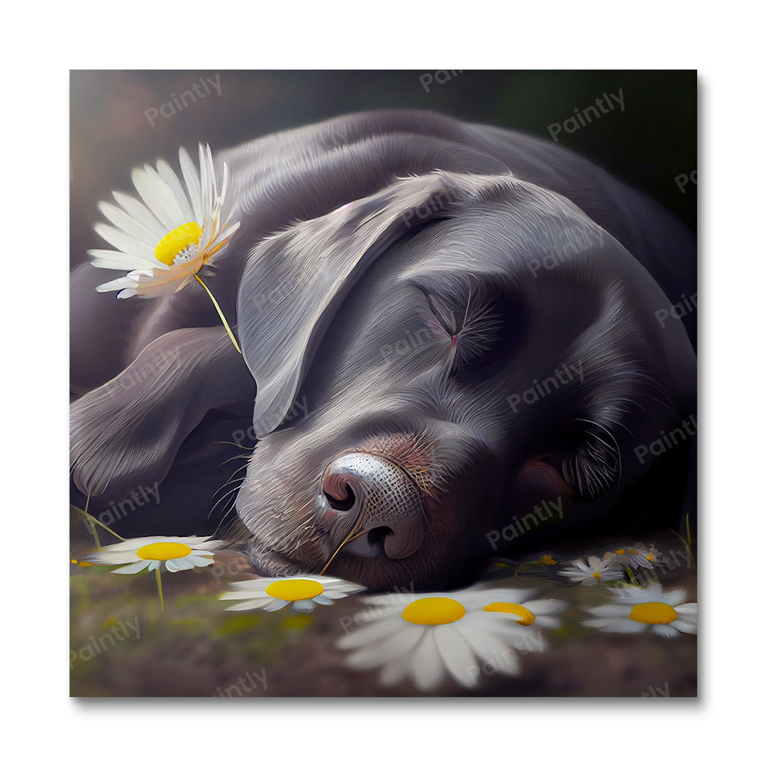 Labrador's Daisies I (Diamond Painting)