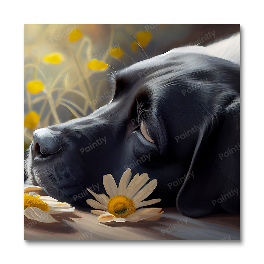 Labrador's Daisies III (Diamond Painting)