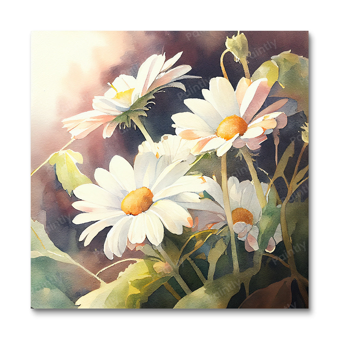 Daisies in the Light (Paint by Numbers)