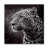 B&amp;W Leopard I