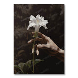 White Hibiscus (Wall Art)